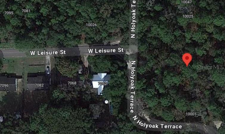 10013 N HOLYOAK TER, DUNNELLON, FL, 34433