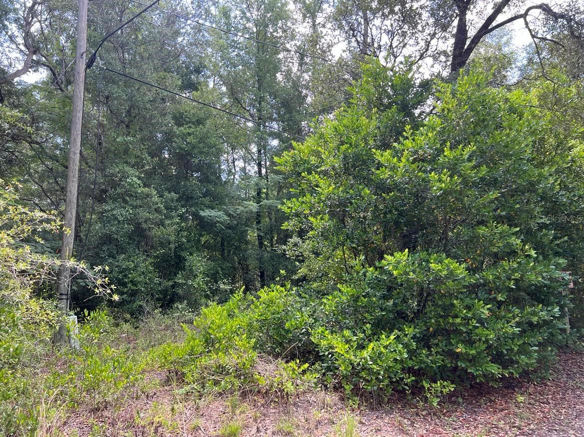 10013 N HOLYOAK TER, DUNNELLON, FL, 34433