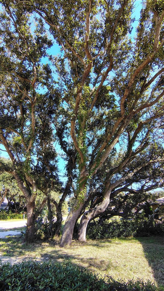 4790 MICHAEL LN, PONCE INLET, FL, 32127