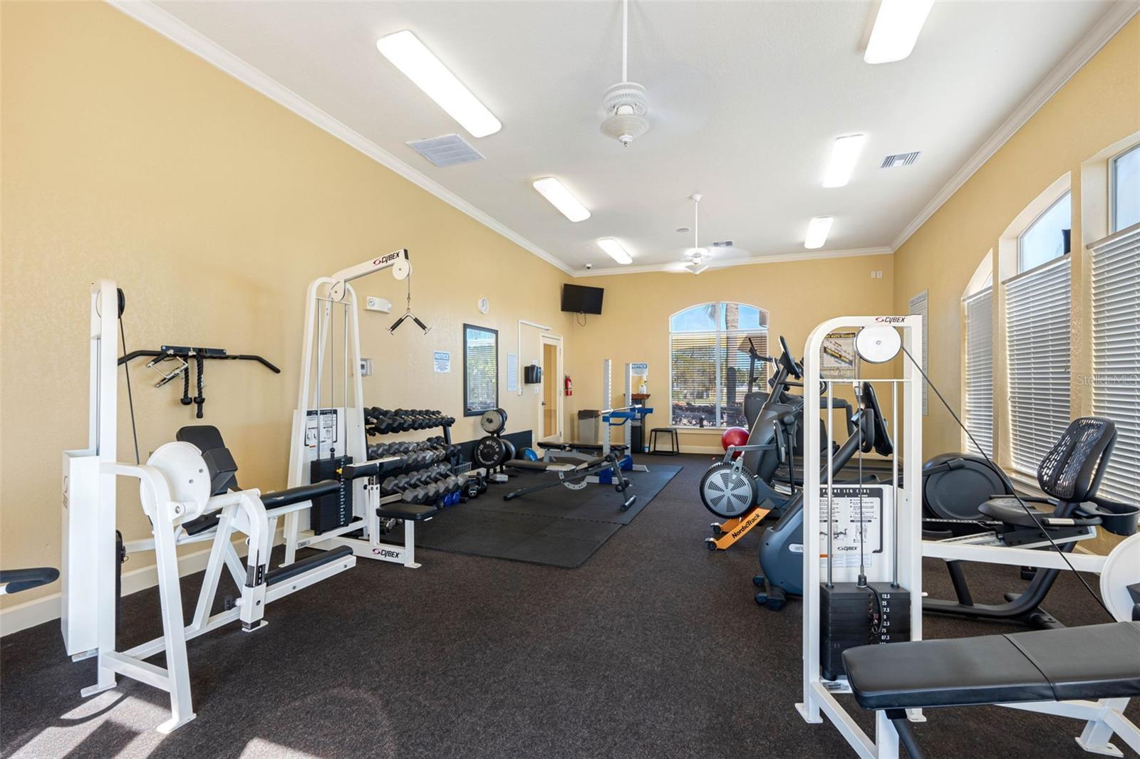4333 BAYSIDE VILLAGE DR #102, TAMPA, FL, 33615