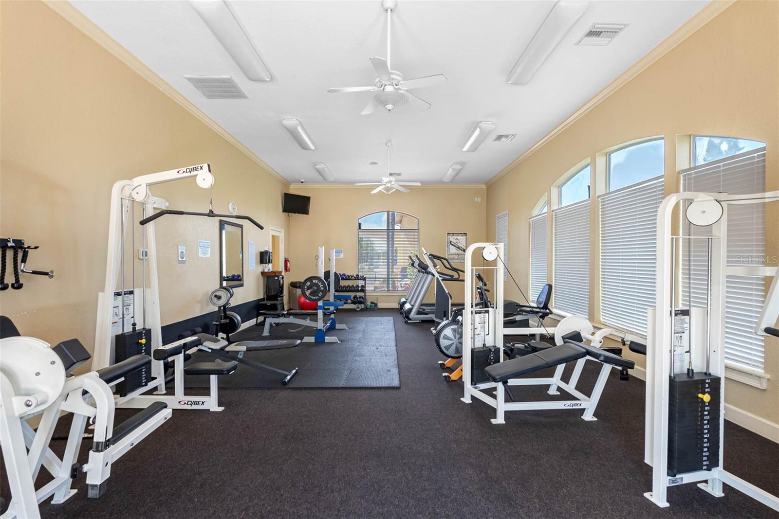 4333 BAYSIDE VILLAGE DR #102, TAMPA, FL, 33615