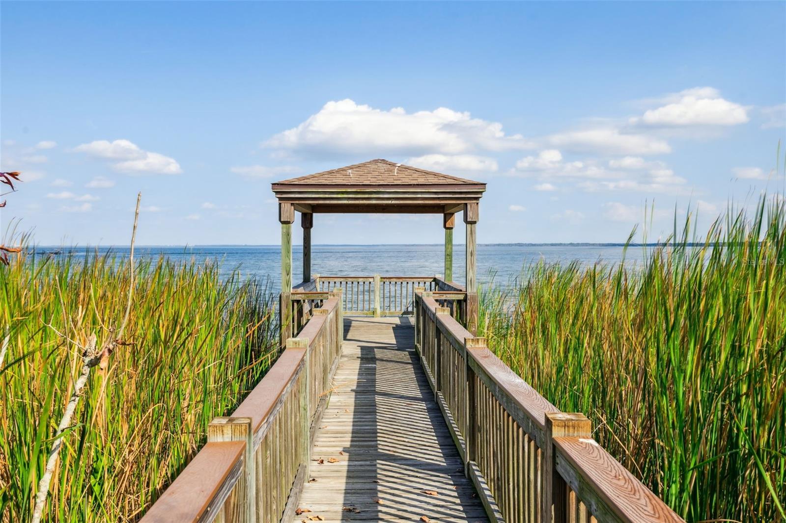 918 HULL ISLAND DR, OAKLAND, FL, 34787