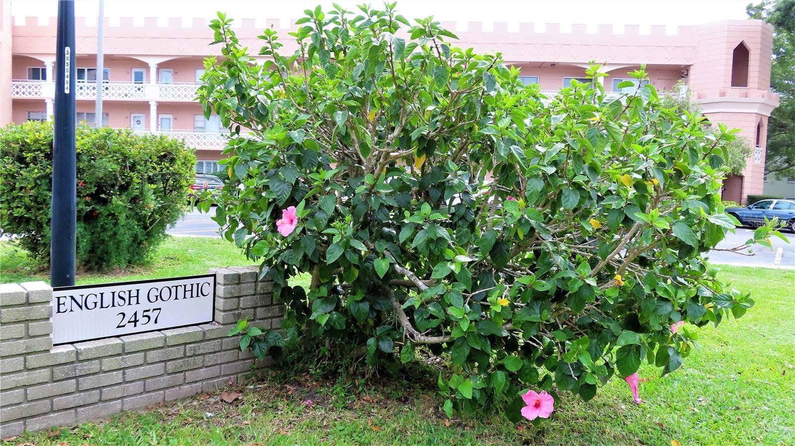 2457 ECUADORIAN WAY #85, CLEARWATER, FL, 33763
