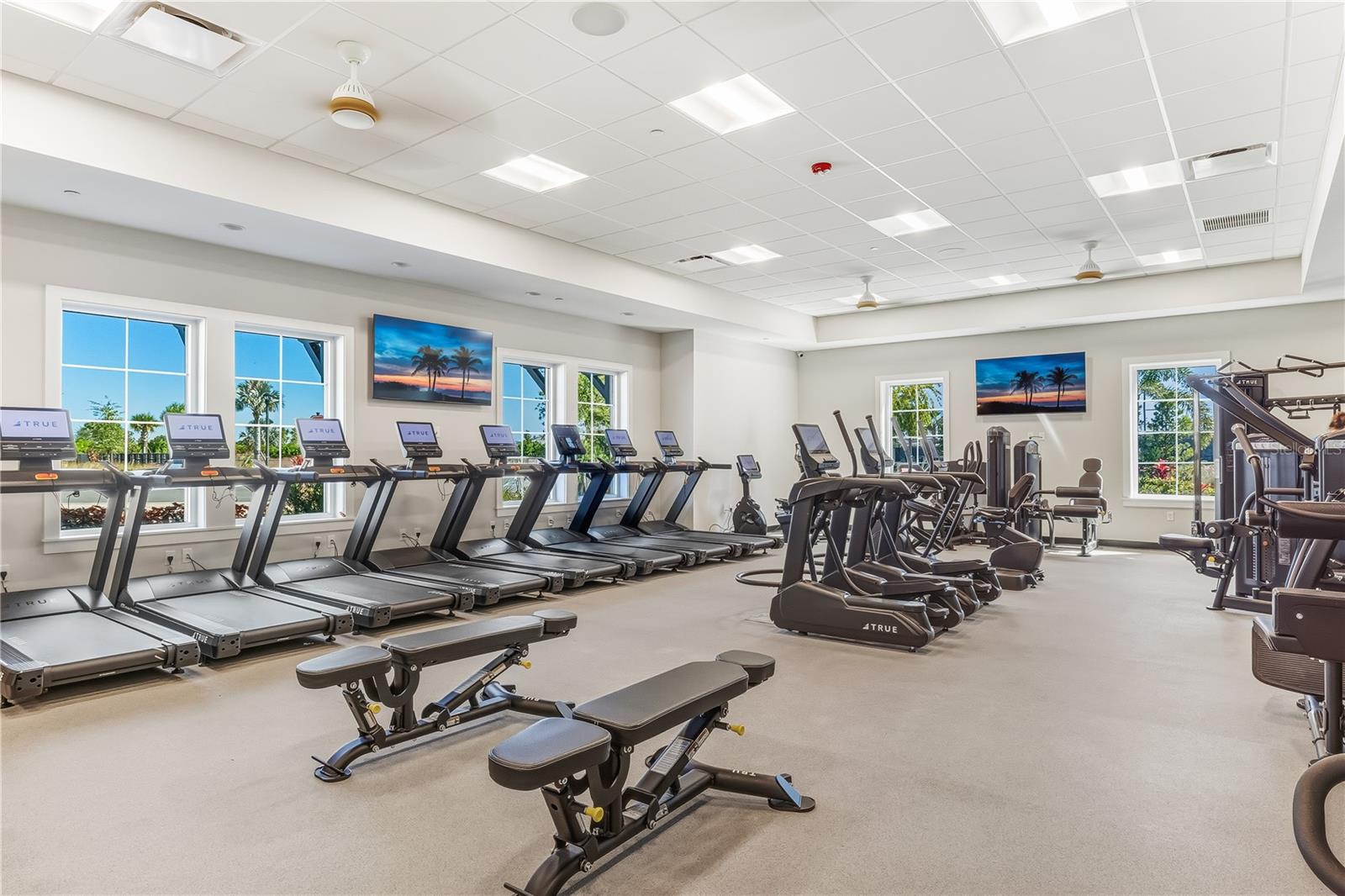 18116 GANDER TER, LAKEWOOD RANCH, FL, 34211