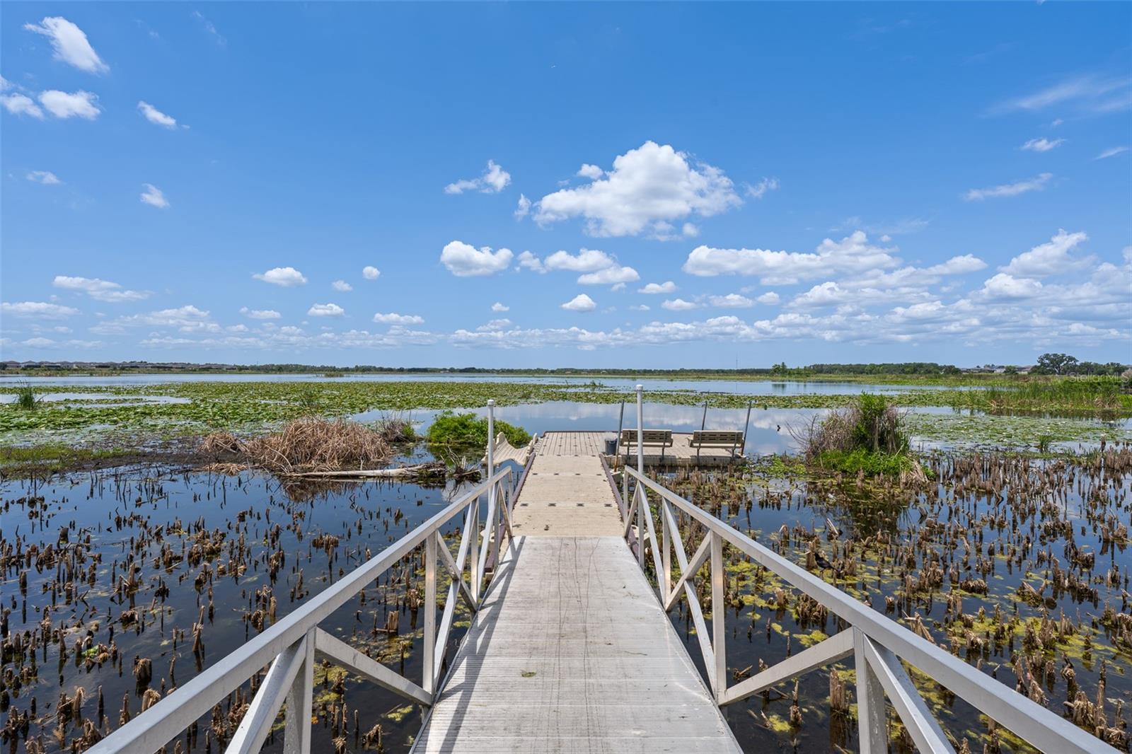 31823 SAPNA CHIME DR, WESLEY CHAPEL, FL, 33545