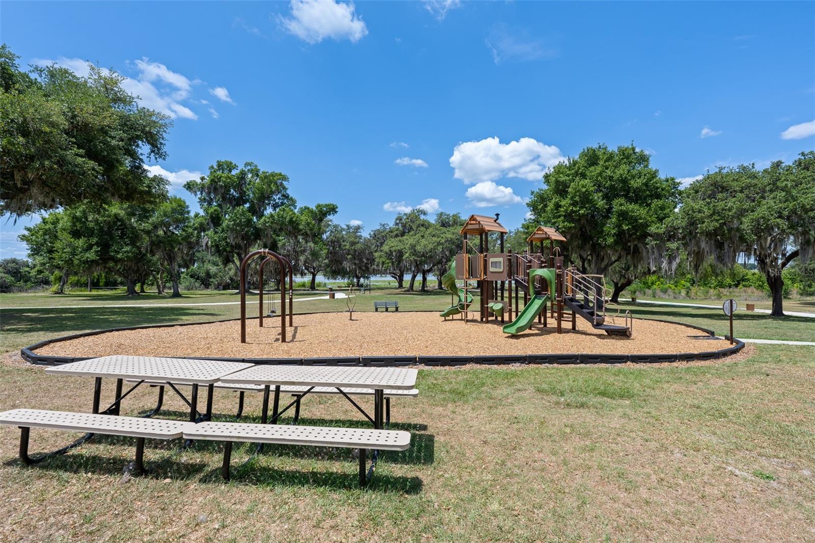 31823 SAPNA CHIME DR, WESLEY CHAPEL, FL, 33545