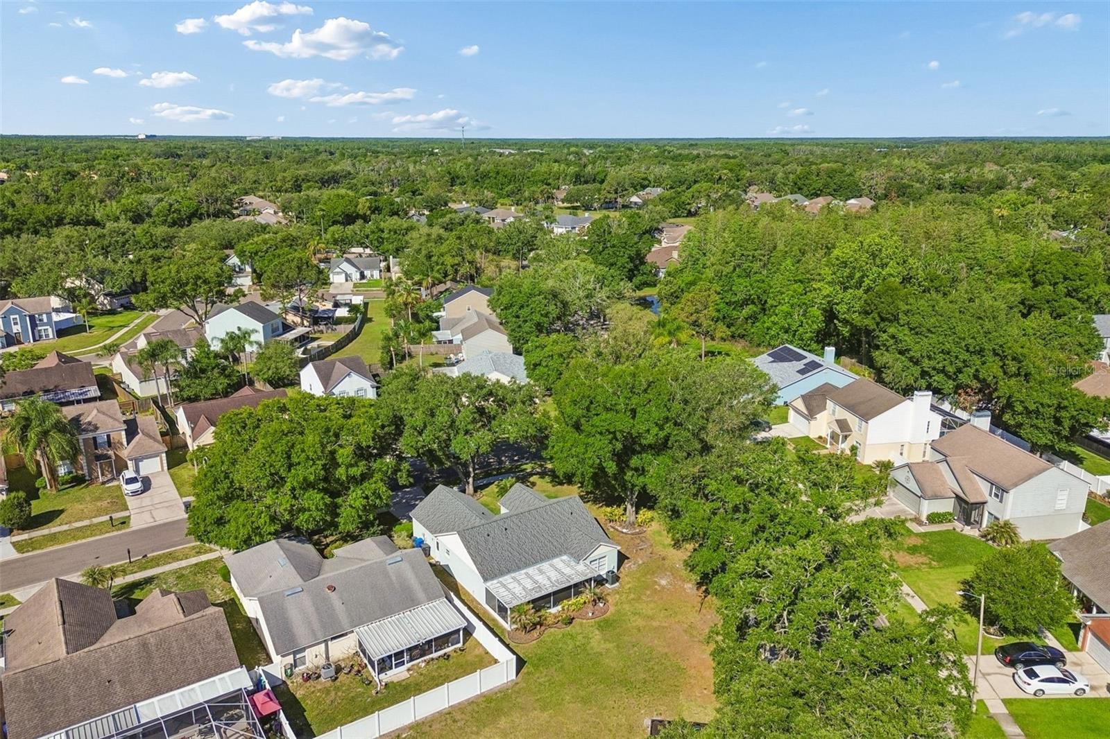 9702 LITTLE POND WAY, TAMPA, FL, 33647