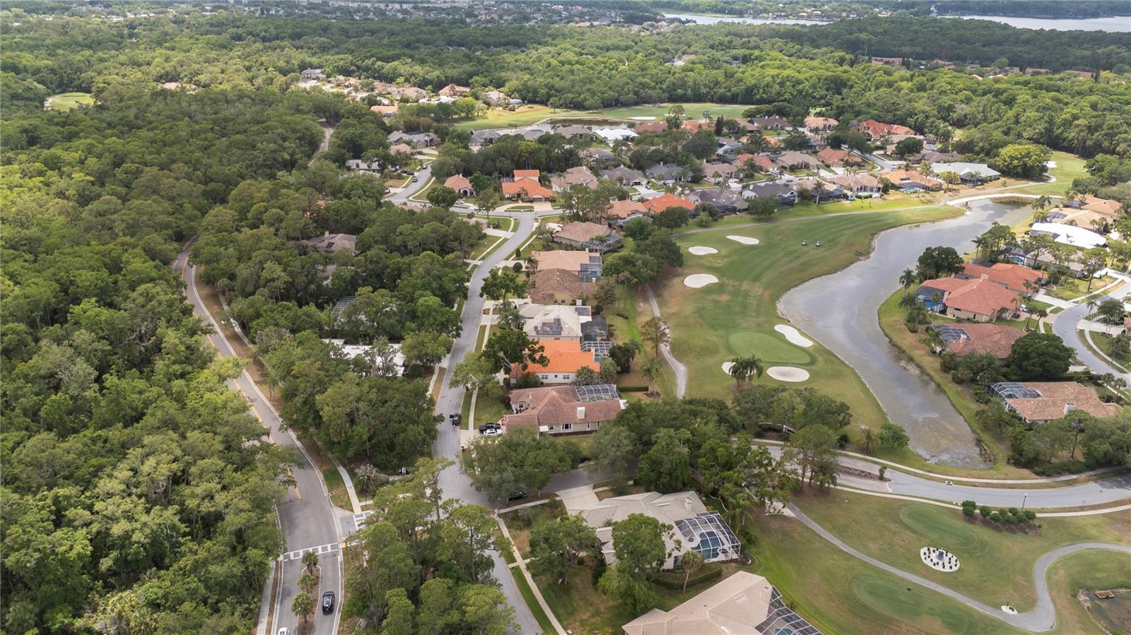 50 KELLEYS TRL, OLDSMAR, FL, 34677