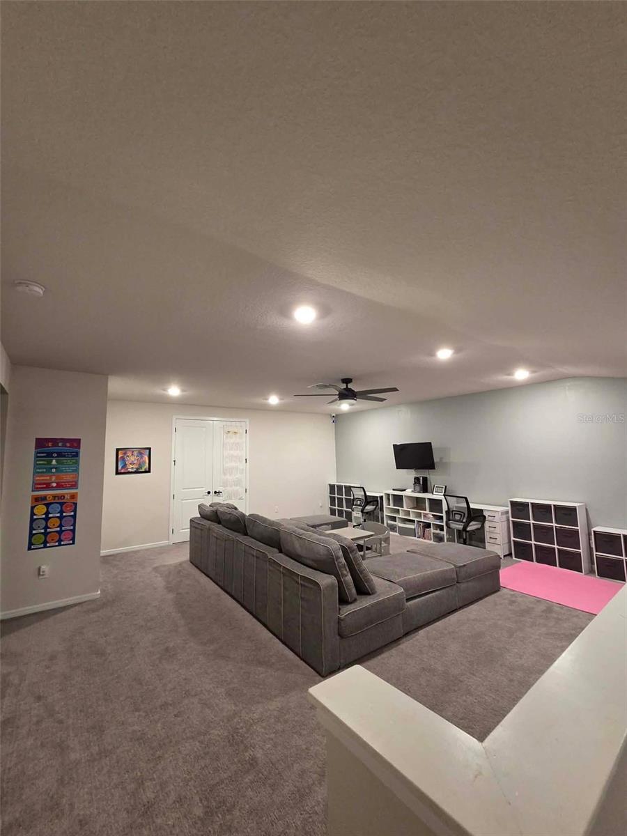 12919 WILLOW GROVE DR, RIVERVIEW, FL, 33579