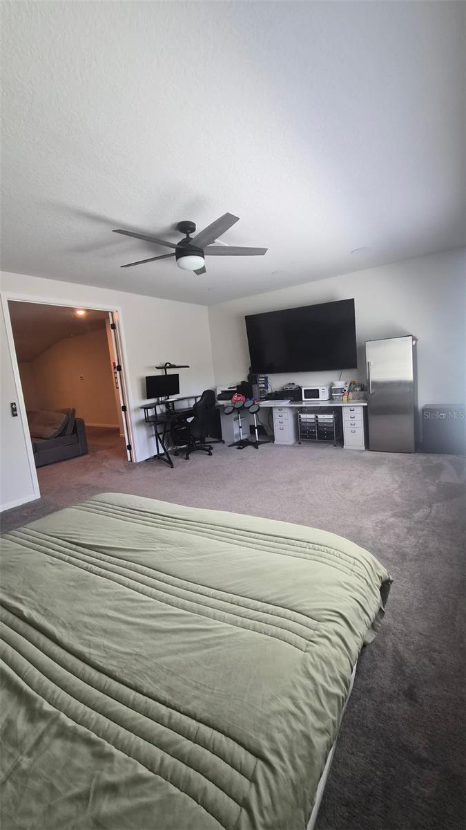 12919 WILLOW GROVE DR, RIVERVIEW, FL, 33579