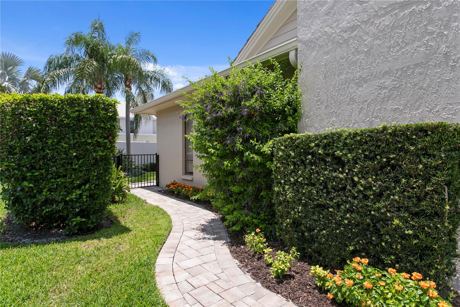 7016 PELICAN ISLAND DR, TAMPA, FL, 33634