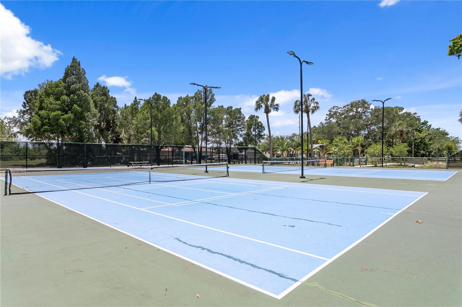 7016 PELICAN ISLAND DR, TAMPA, FL, 33634