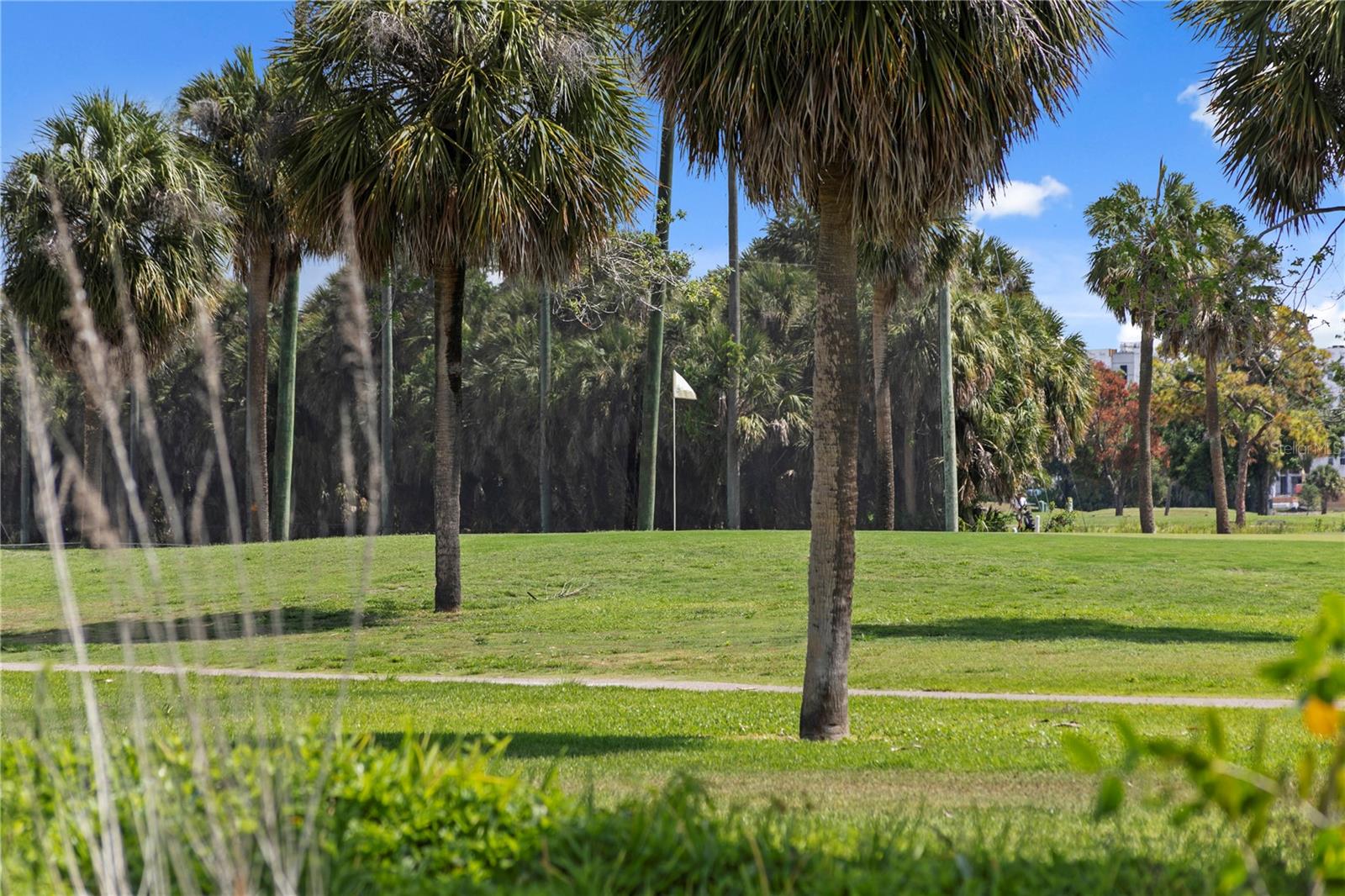 7016 PELICAN ISLAND DR, TAMPA, FL, 33634