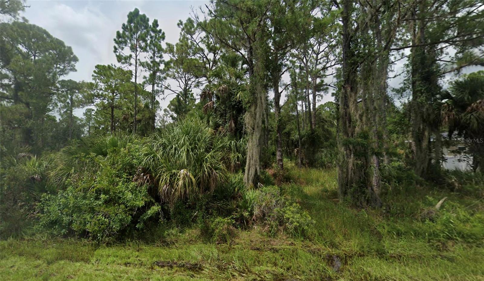 14116 CAIN AVE, PORT CHARLOTTE, FL, 33953