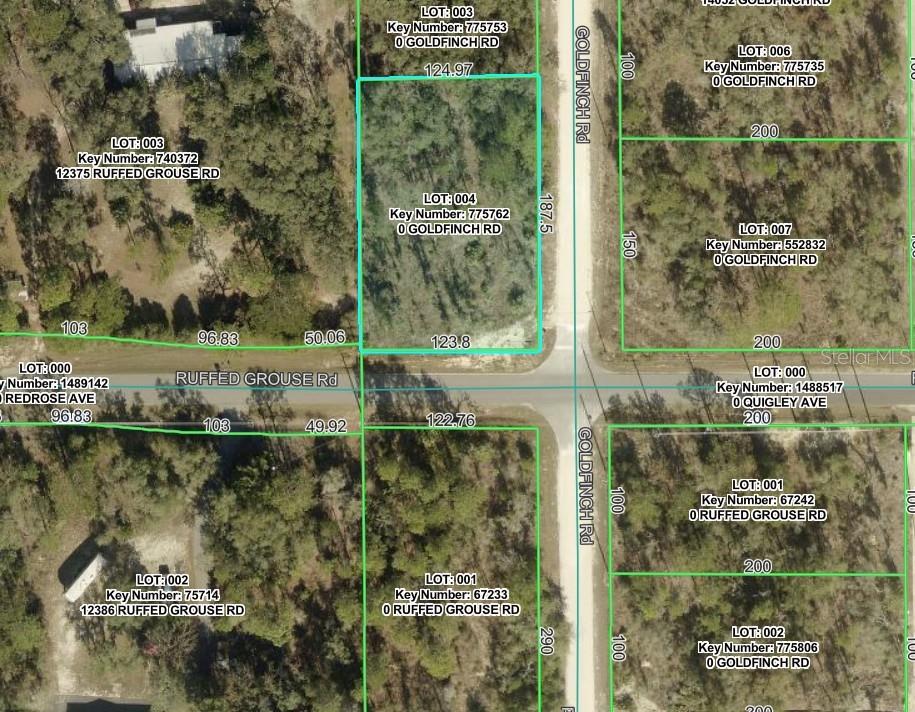 GOLDFINCH RD, WEEKI WACHEE, FL, 34614