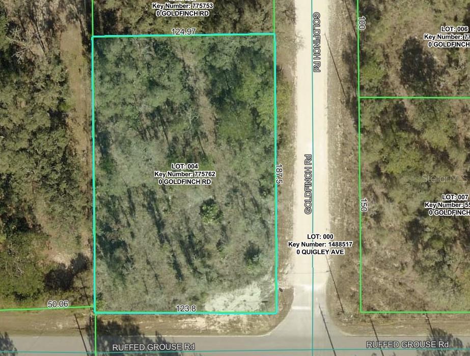 GOLDFINCH RD, WEEKI WACHEE, FL, 34614