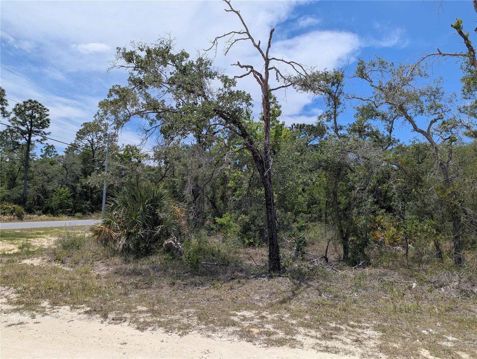 GOLDFINCH RD, WEEKI WACHEE, FL, 34614