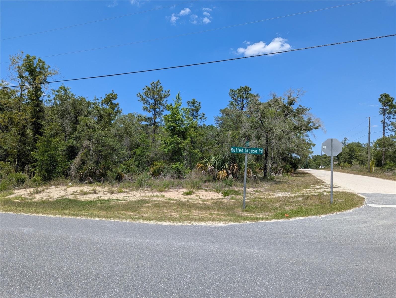 GOLDFINCH RD, WEEKI WACHEE, FL, 34614