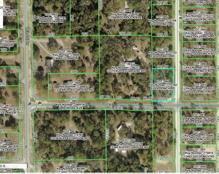 GOLDFINCH RD, WEEKI WACHEE, FL, 34614