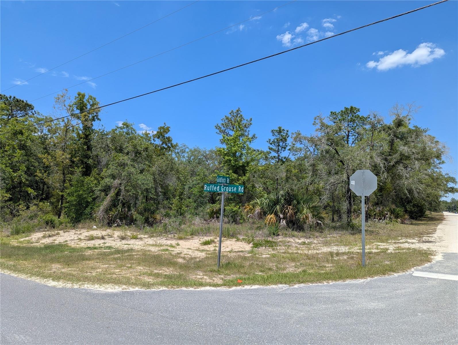 GOLDFINCH RD, WEEKI WACHEE, FL, 34614