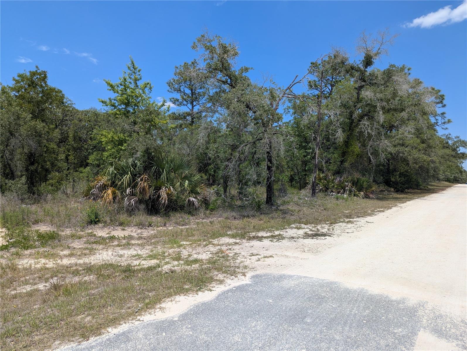 GOLDFINCH RD, WEEKI WACHEE, FL, 34614