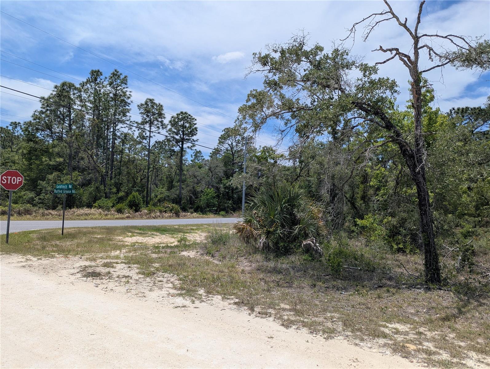 GOLDFINCH RD, WEEKI WACHEE, FL, 34614