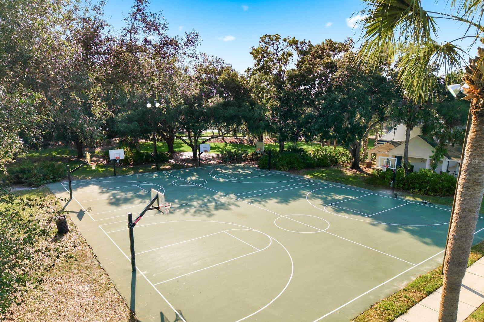 16318 ARMSTRONG PL, TAMPA, FL, 33647