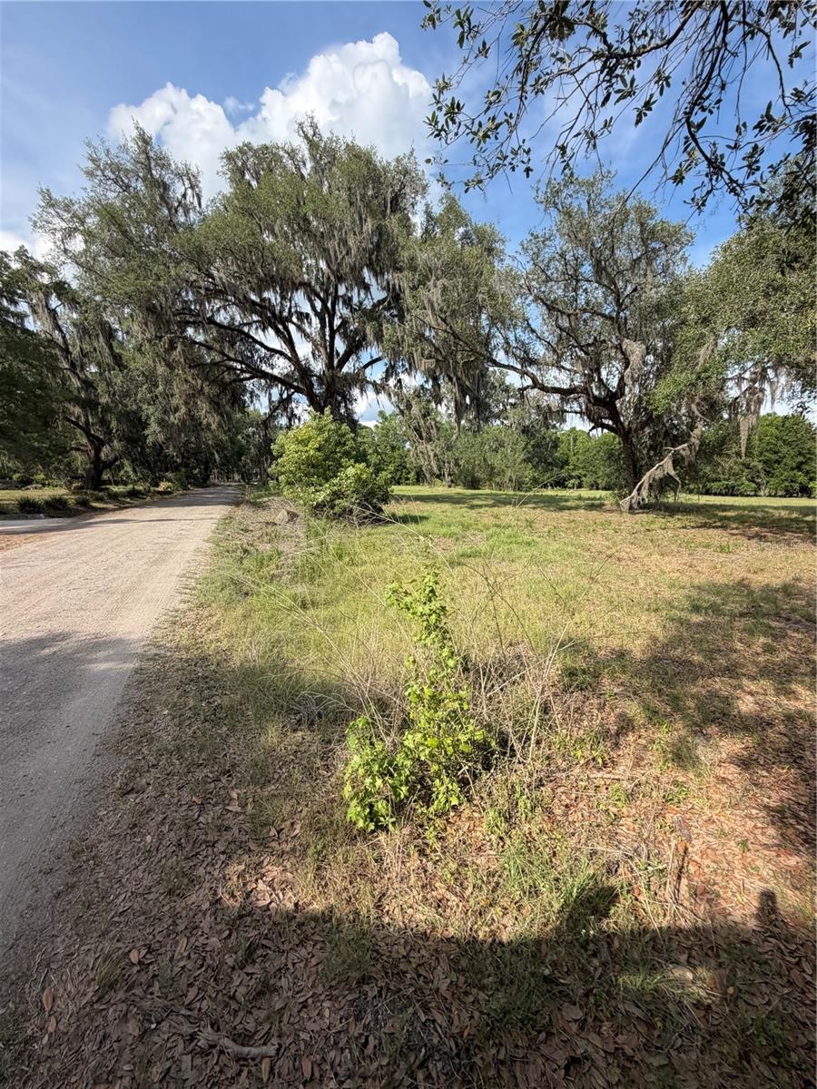 000 PALOMINO LAKES DR, DADE CITY, FL, 33523