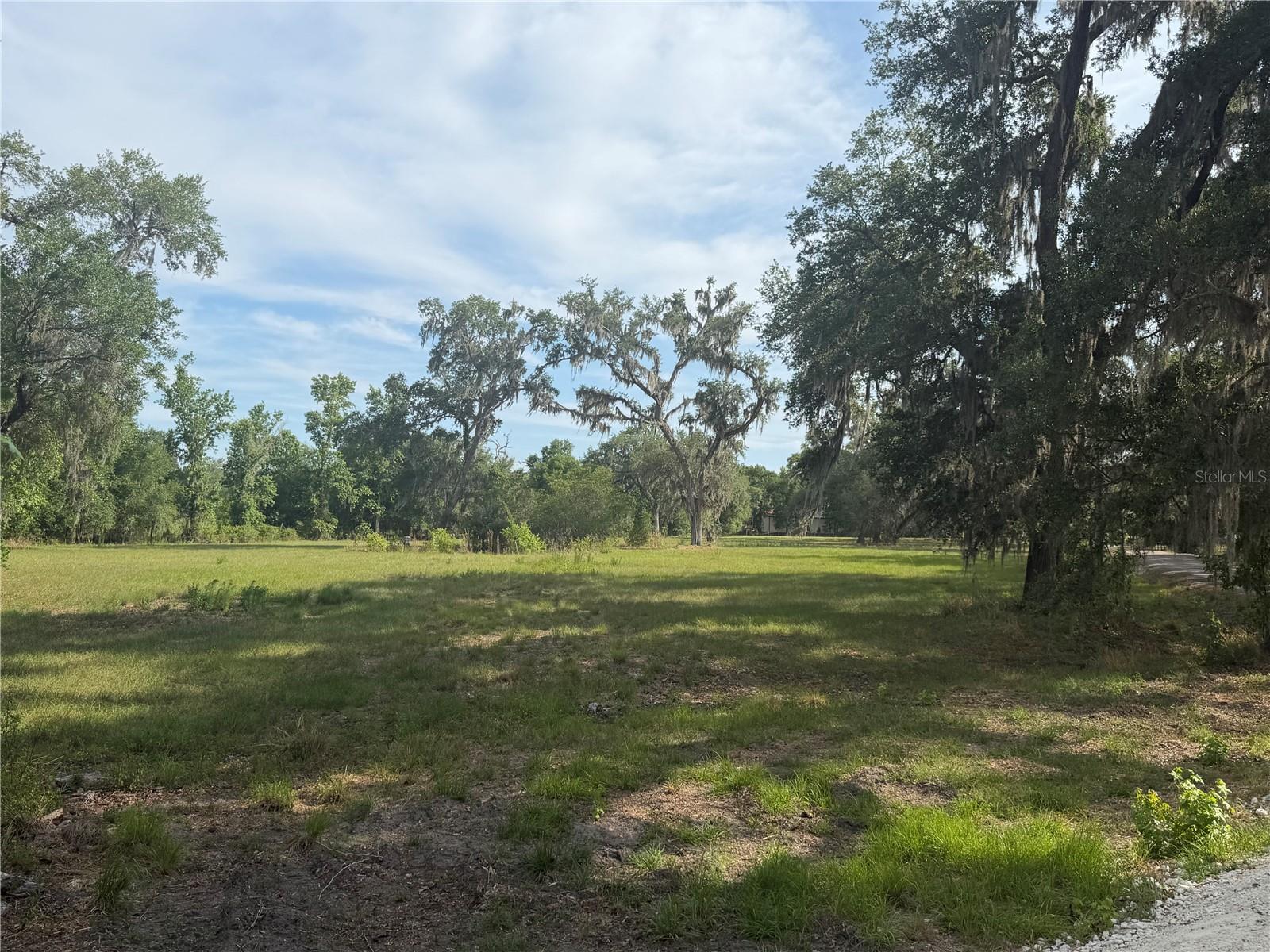 000 PALOMINO LAKES DR, DADE CITY, FL, 33523