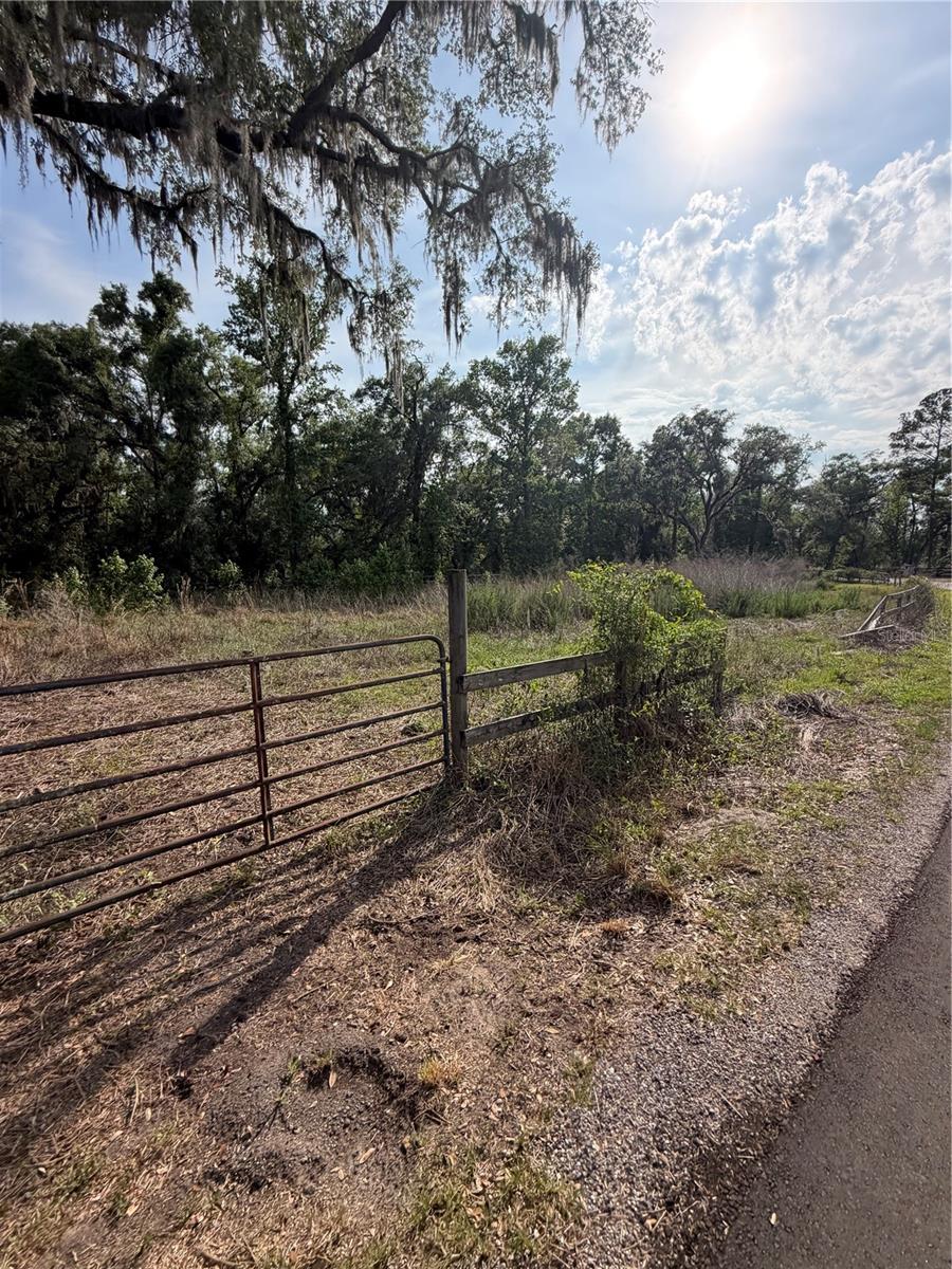 000 PALOMINO LAKES DR, DADE CITY, FL, 33523