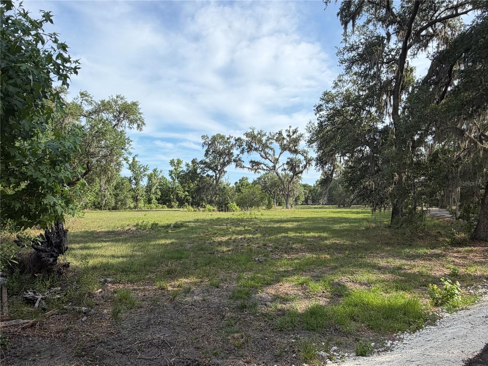 000 PALOMINO LAKES DR, DADE CITY, FL, 33523