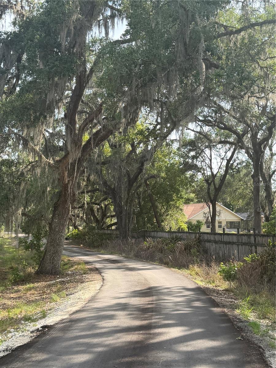 000 PALOMINO LAKES DR, DADE CITY, FL, 33523