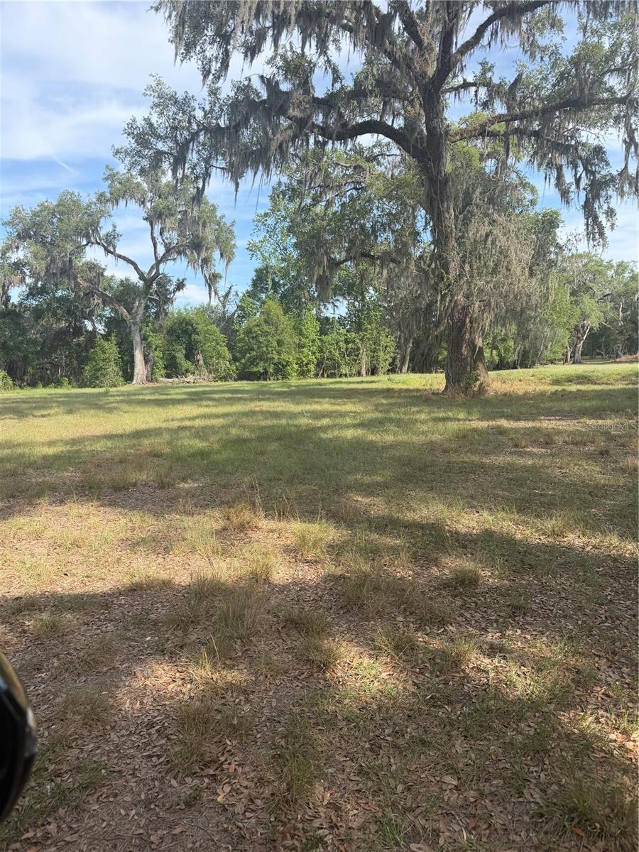 000 PALOMINO LAKES DR, DADE CITY, FL, 33523