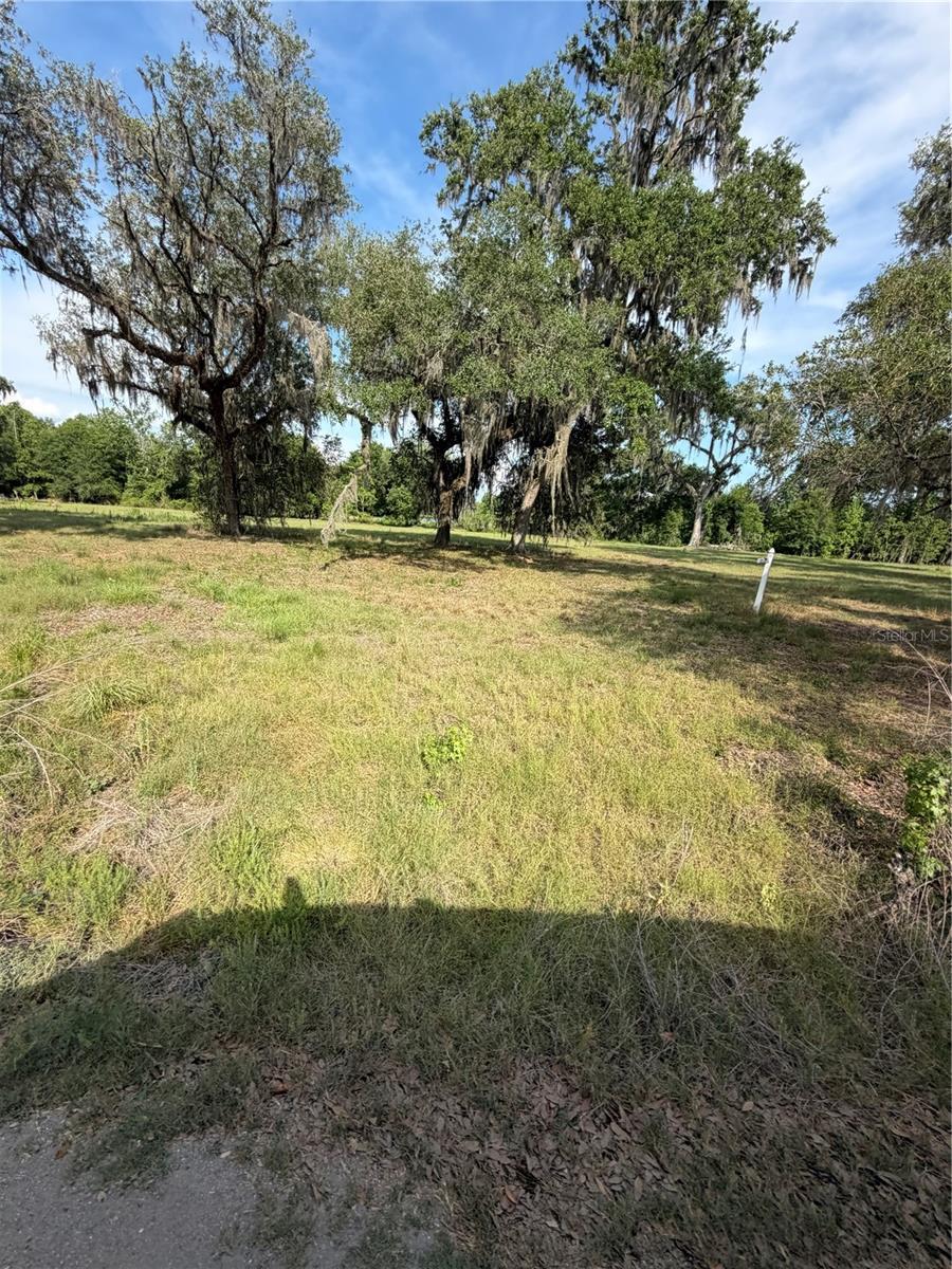 000 PALOMINO LAKES DR, DADE CITY, FL, 33523