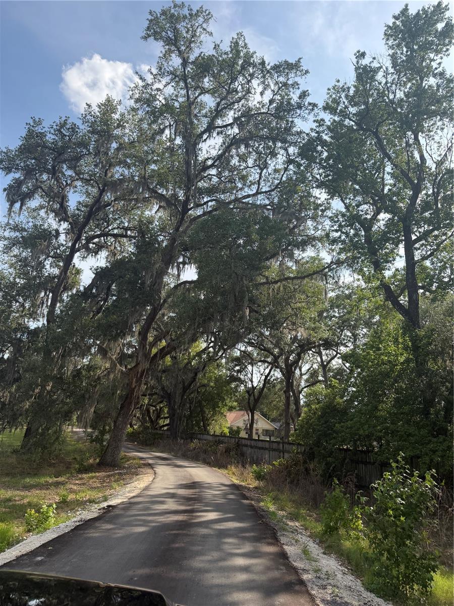 000 PALOMINO LAKES DR, DADE CITY, FL, 33523