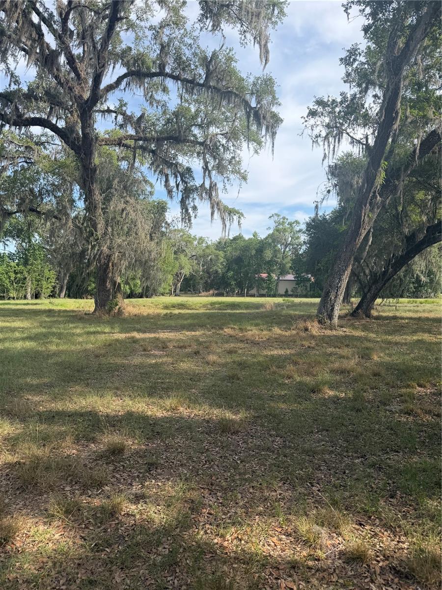 000 PALOMINO LAKES DR, DADE CITY, FL, 33523