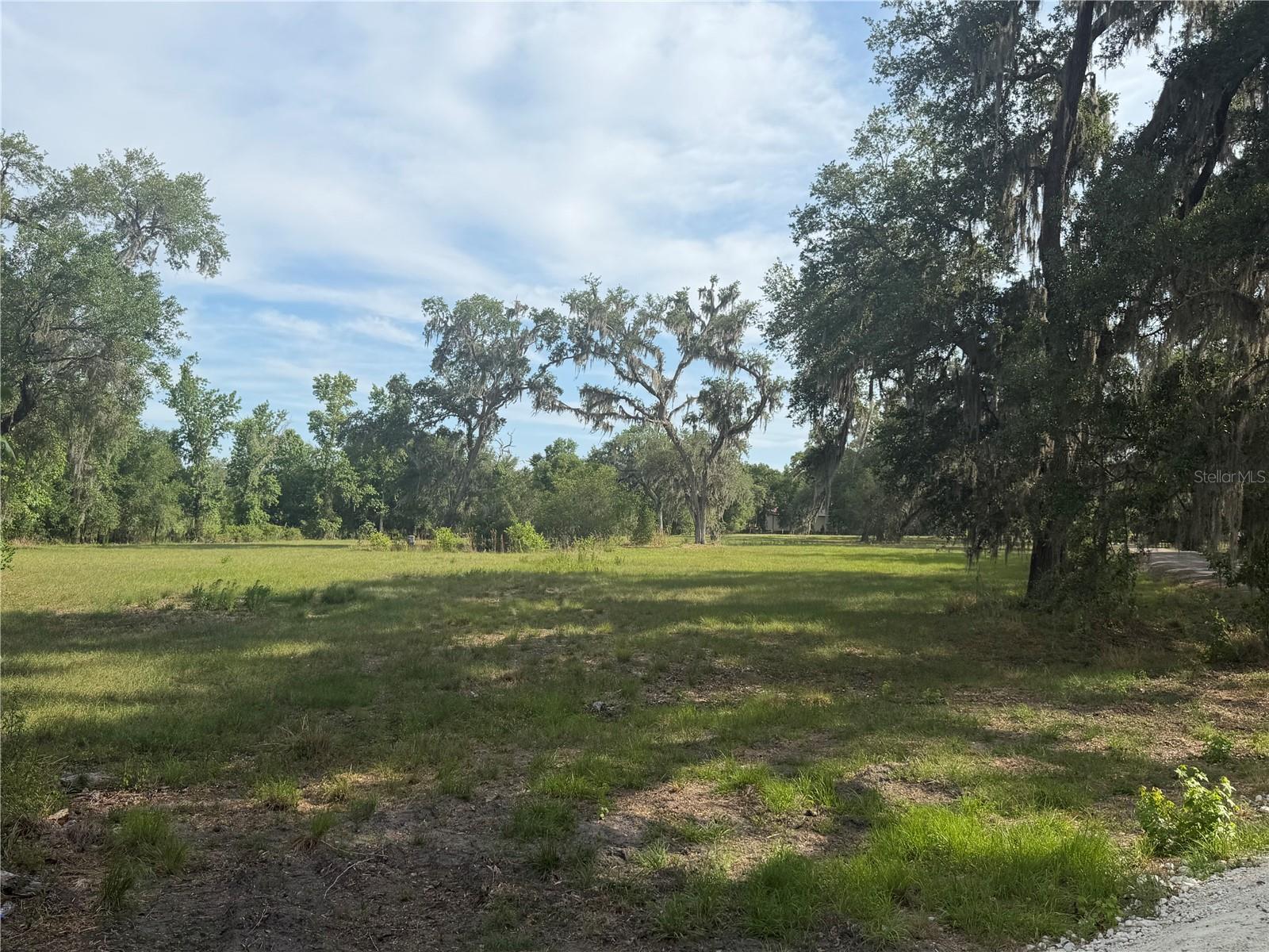 000 PALOMINO LAKES DR, DADE CITY, FL, 33523