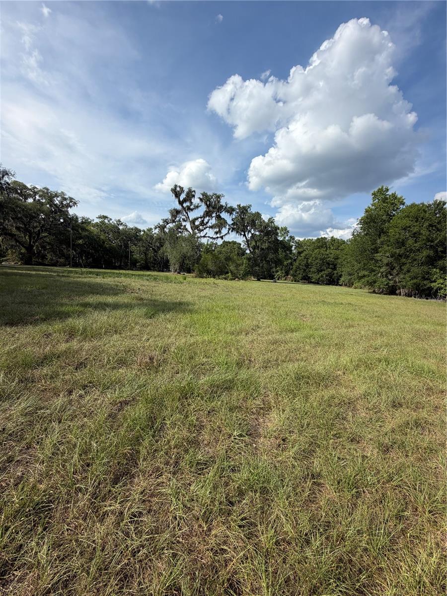 000 PALOMINO LAKES DR, DADE CITY, FL, 33523