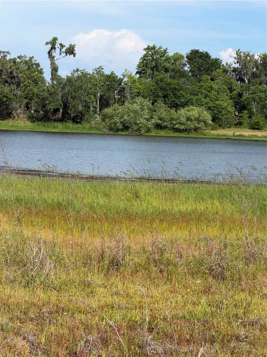 000 PALOMINO LAKES DR, DADE CITY, FL, 33523