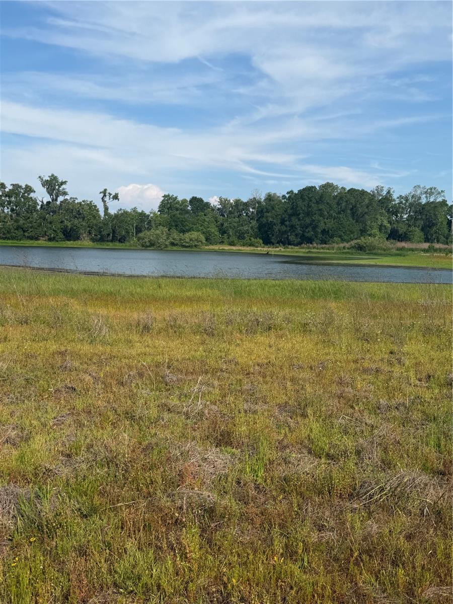 000 PALOMINO LAKES DR, DADE CITY, FL, 33523