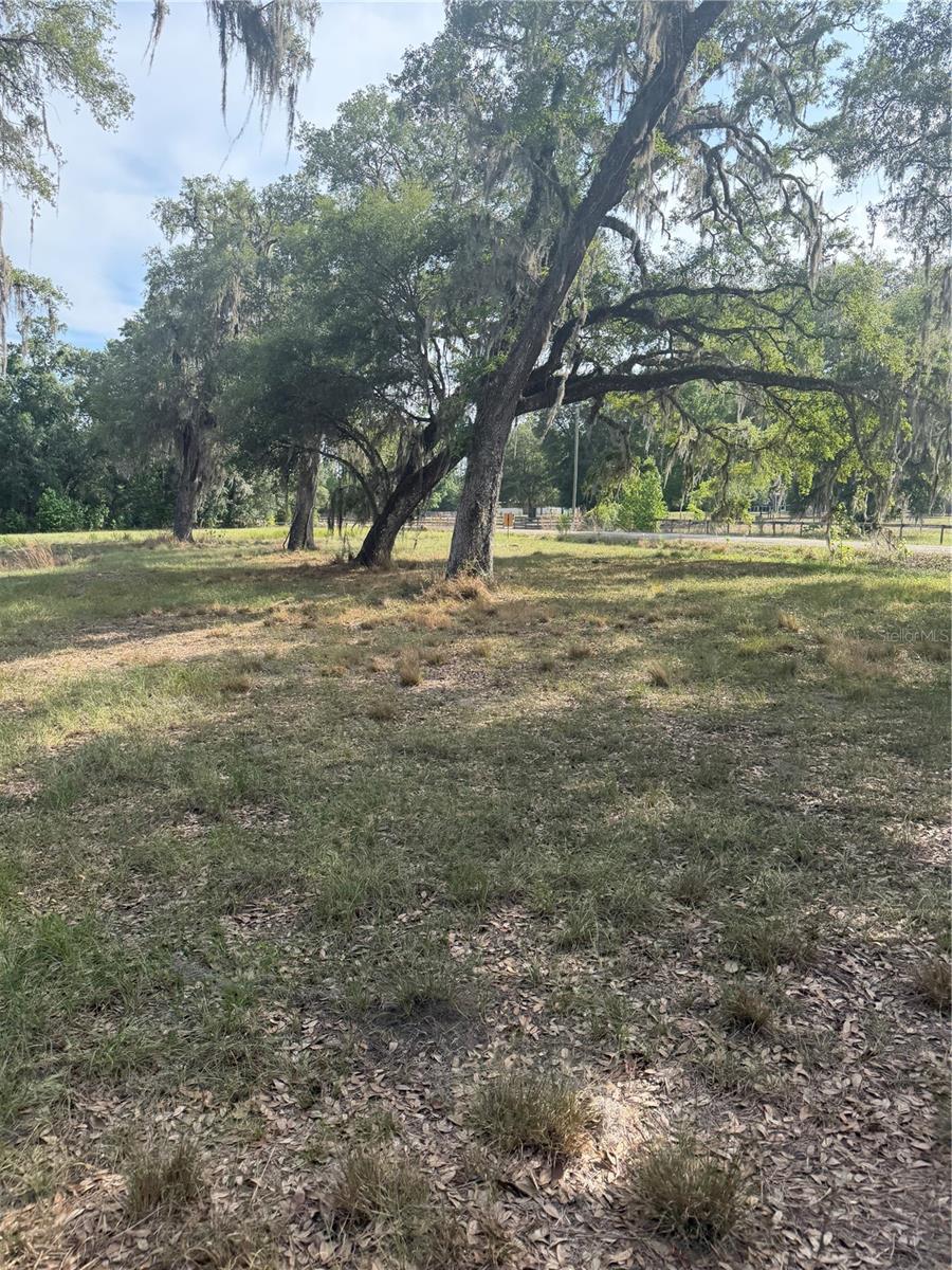 000 PALOMINO LAKES DR, DADE CITY, FL, 33523