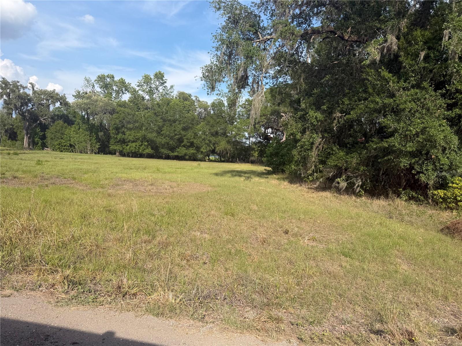 000 PALOMINO LAKES DR, DADE CITY, FL, 33523