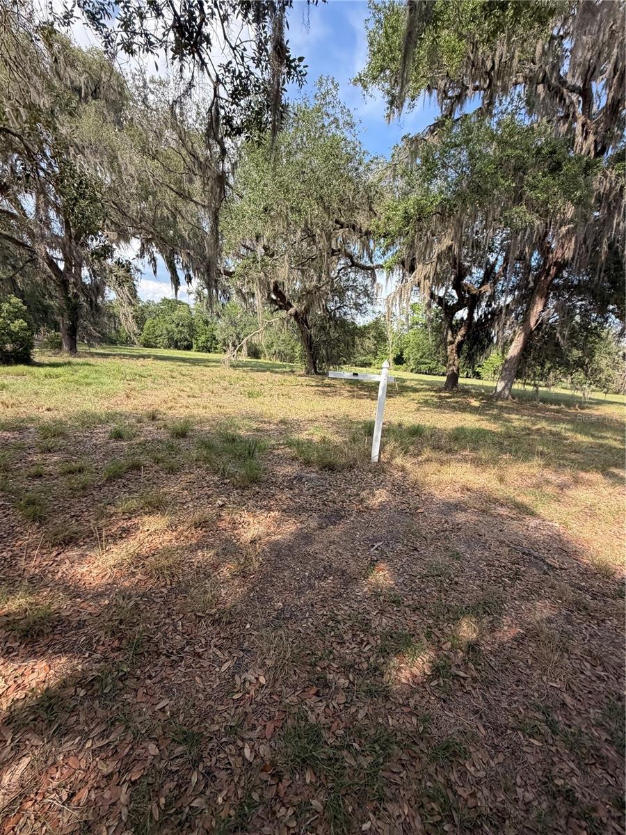 000 PALOMINO LAKES DR, DADE CITY, FL, 33523