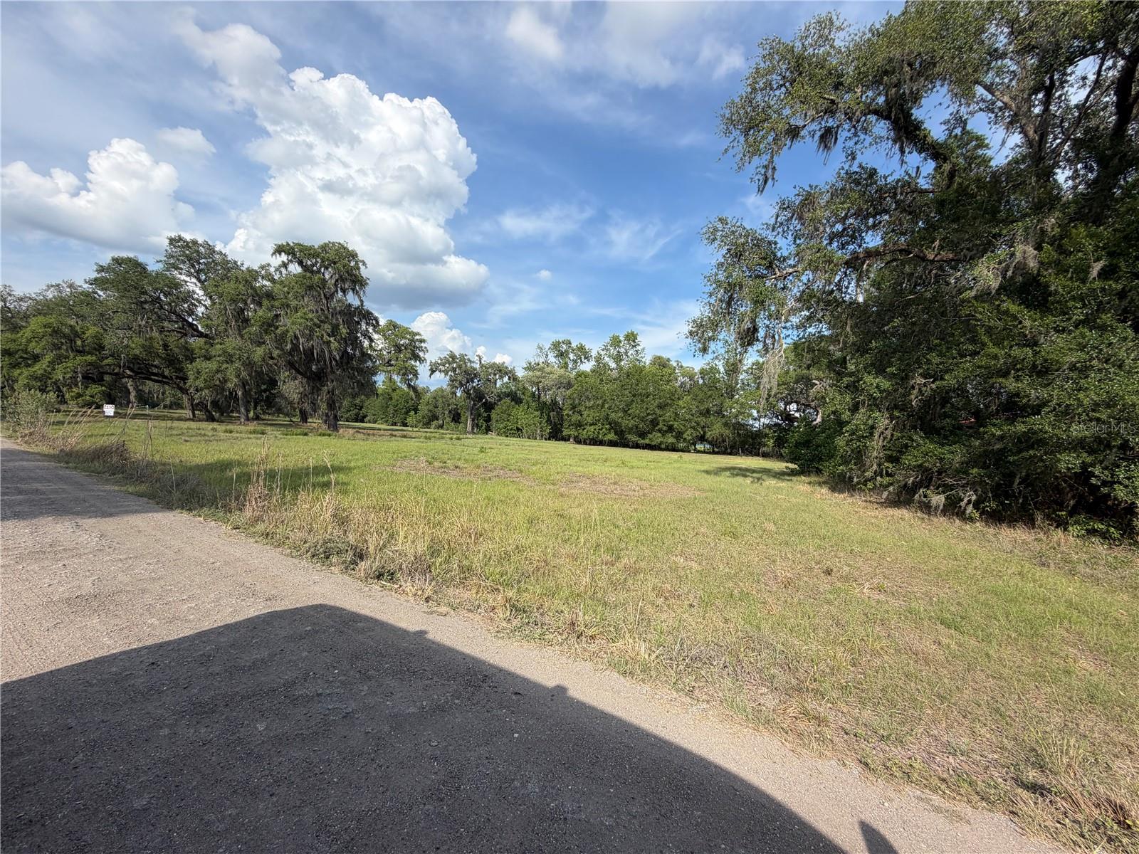 000 PALOMINO LAKES DR, DADE CITY, FL, 33523