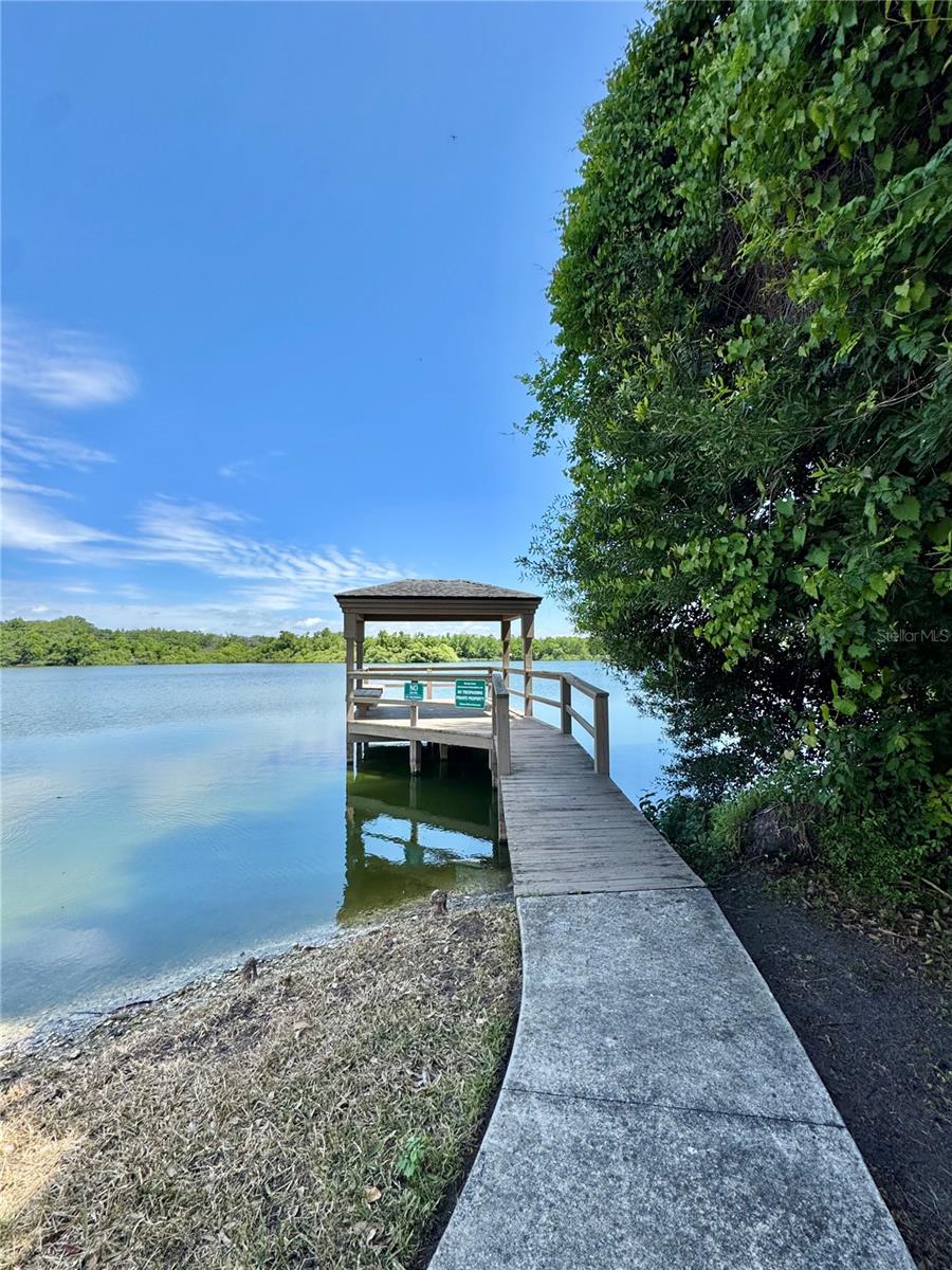 1253 BRANDY LAKE VIEW CIR, WINTER GARDEN, FL, 34787