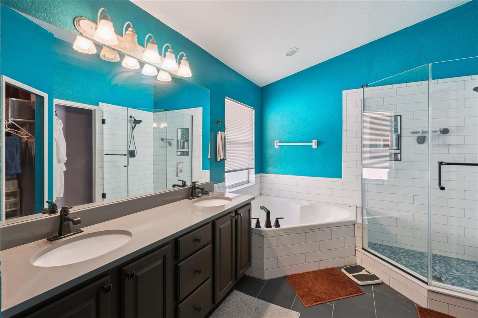 1253 BRANDY LAKE VIEW CIR, WINTER GARDEN, FL, 34787