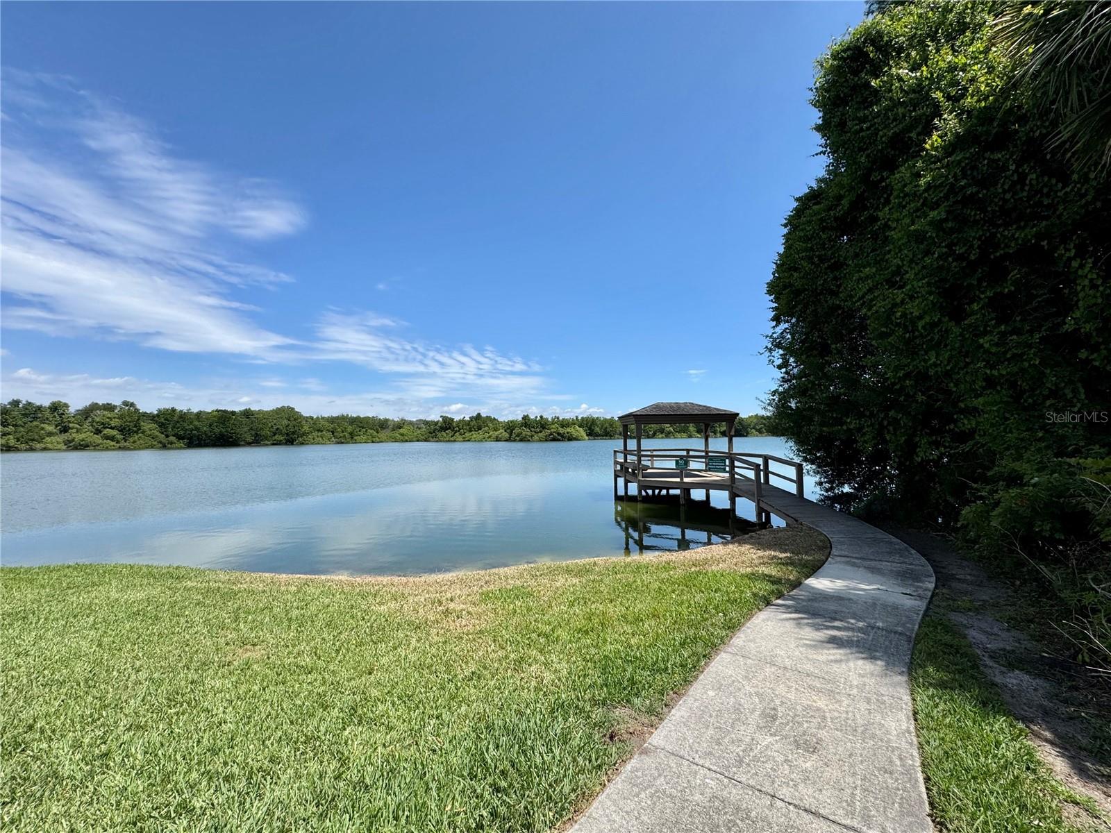1253 BRANDY LAKE VIEW CIR, WINTER GARDEN, FL, 34787