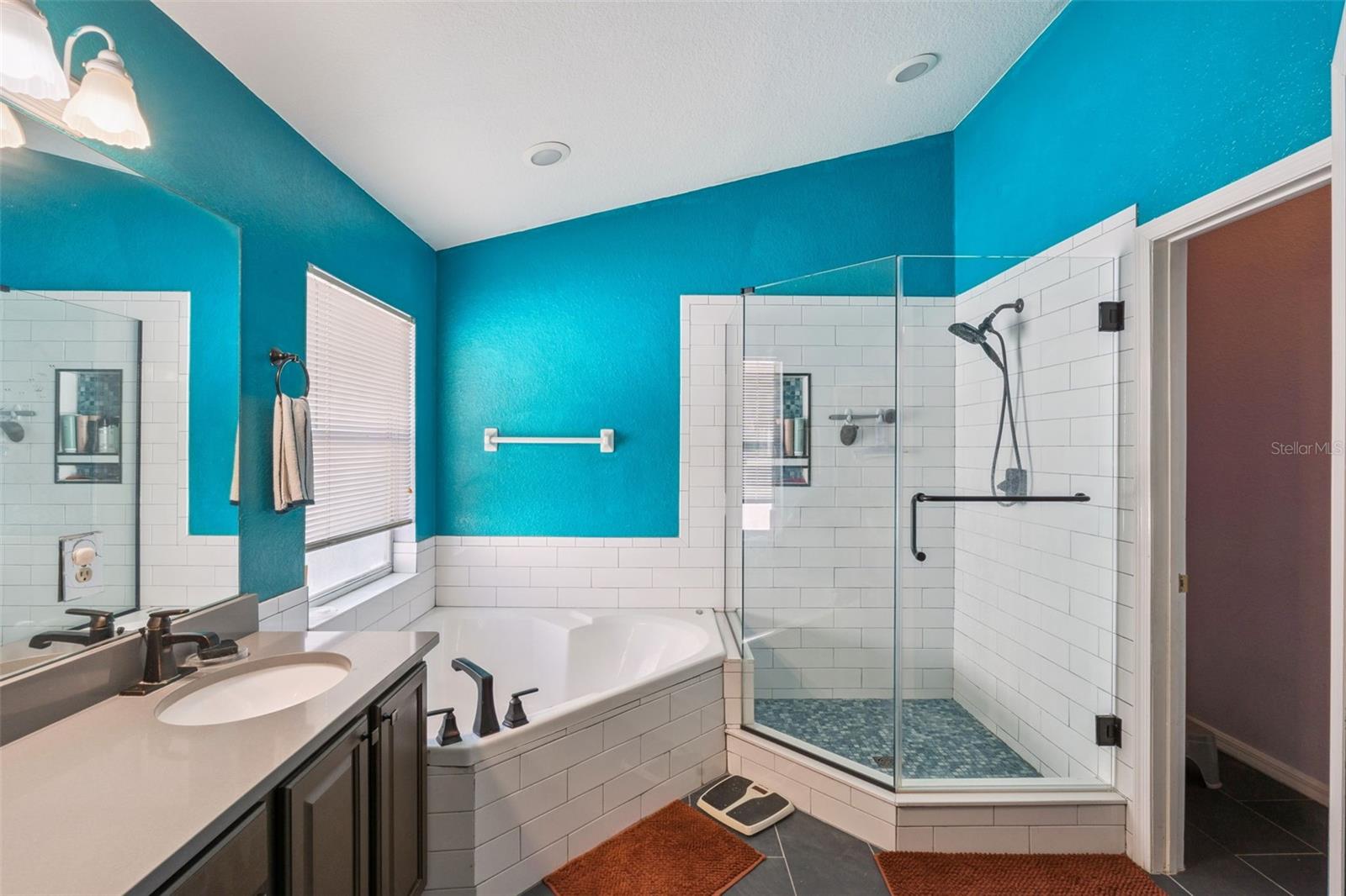 1253 BRANDY LAKE VIEW CIR, WINTER GARDEN, FL, 34787