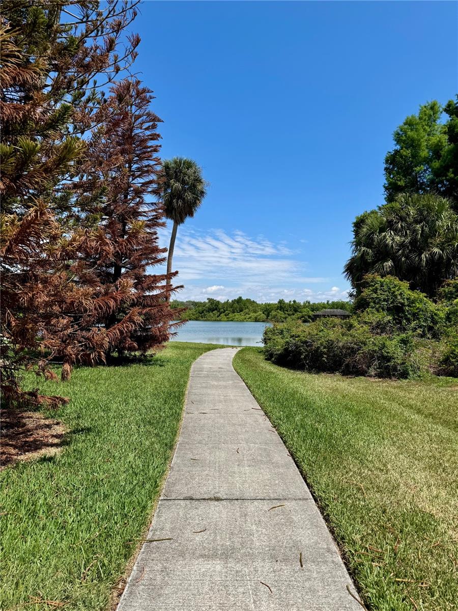 1253 BRANDY LAKE VIEW CIR, WINTER GARDEN, FL, 34787
