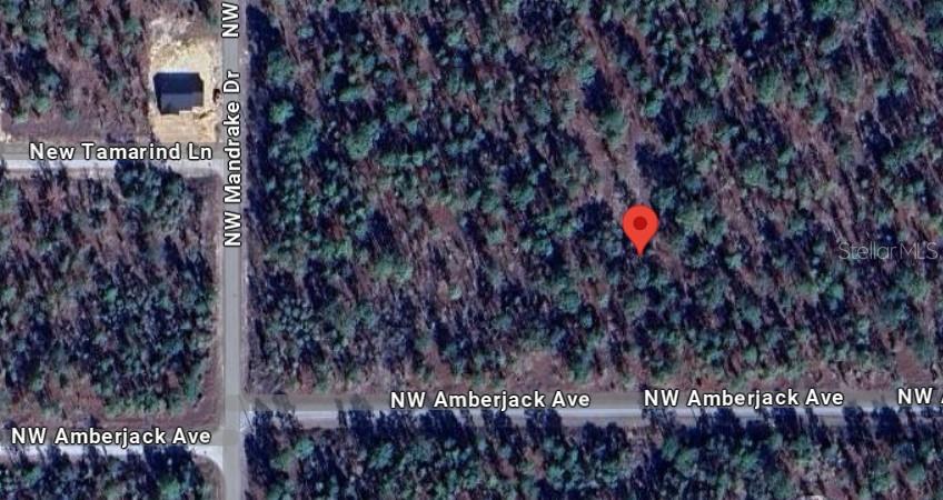 NW AMBERJACK, LOT #33, DUNNELLON, FL, 34431